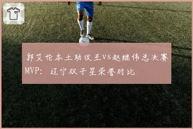 郭艾伦本土助攻王vs赵继伟总决赛MVP：辽宁双子星荣誉对比